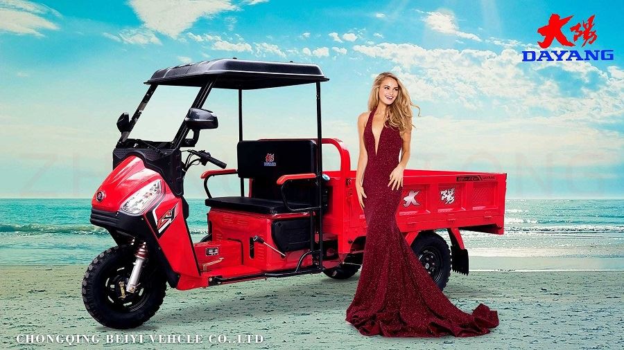High cost performance 110cc automatic powerful cargo tricycle