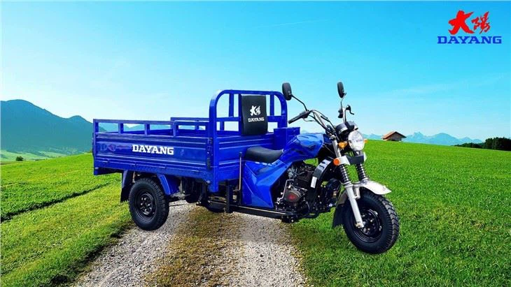 2021 Customize Open Three Wheel Cargo Motorcycle