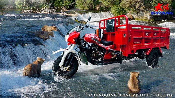 hydraulic dump cargo Motorized tricycle 250cc