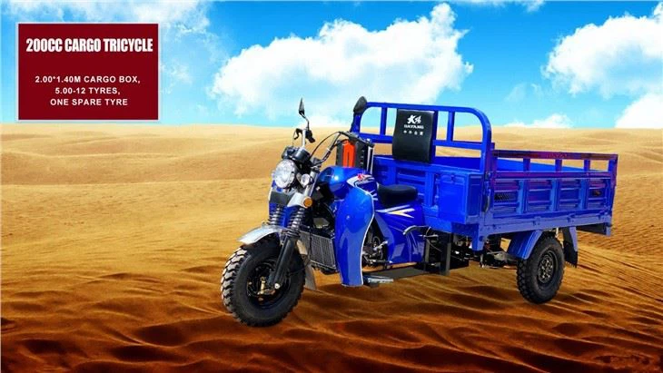 Motorized Fuel Cargo Tricycle Motorcycle 150cc