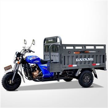 Tricycle à moteur 3 roues 150CC