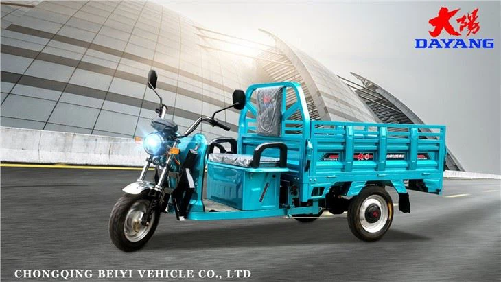 Three Wheel Electric Cargo Bike 1200W