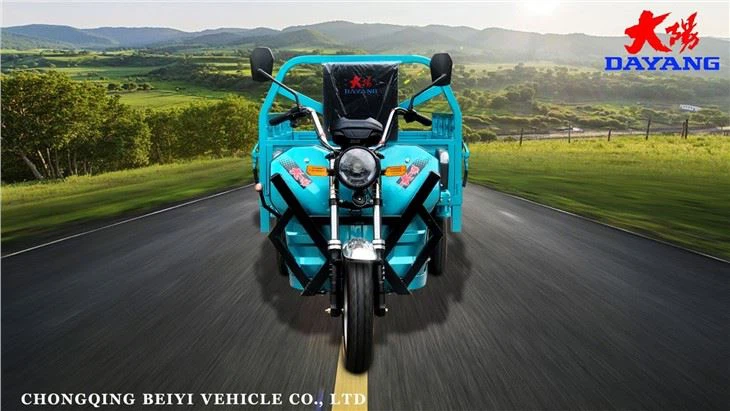 Three Wheel Electric Cargo Bike 1200W