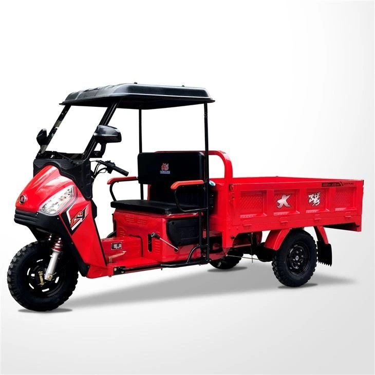 110cc 3 Wheel Cargo Moto