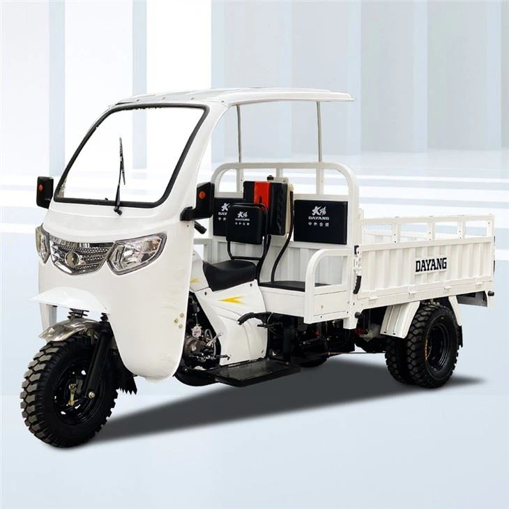 3 Wheels Moto Cargo