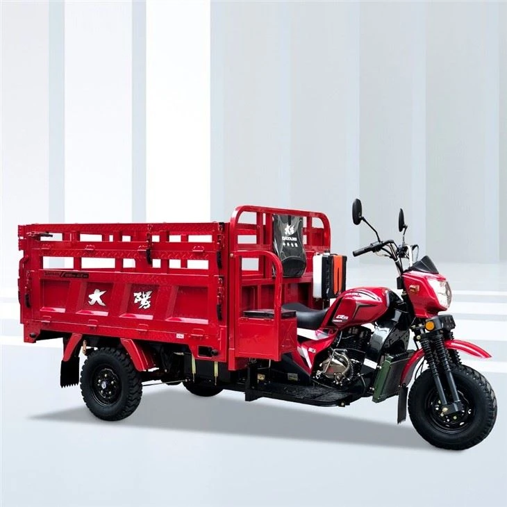 300cc 3 Roues Moto De Carga