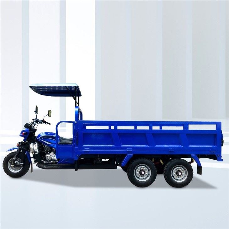 Double Rear Alxe Carguero Motor Triciclo