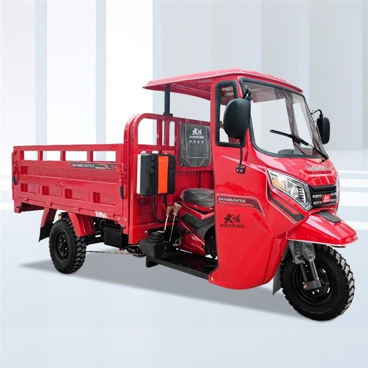 300cc Motorizado Tricar