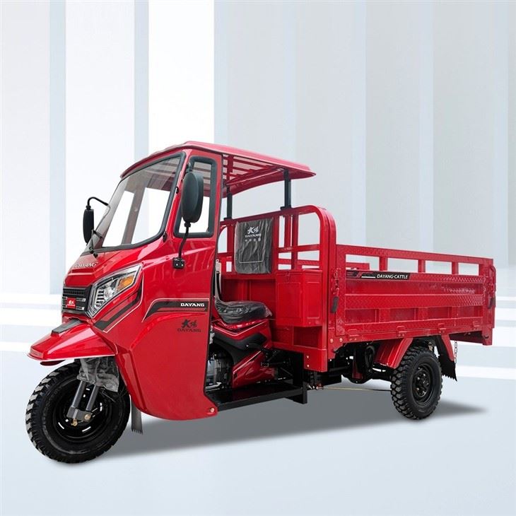 Tricar motorisé 300cc
