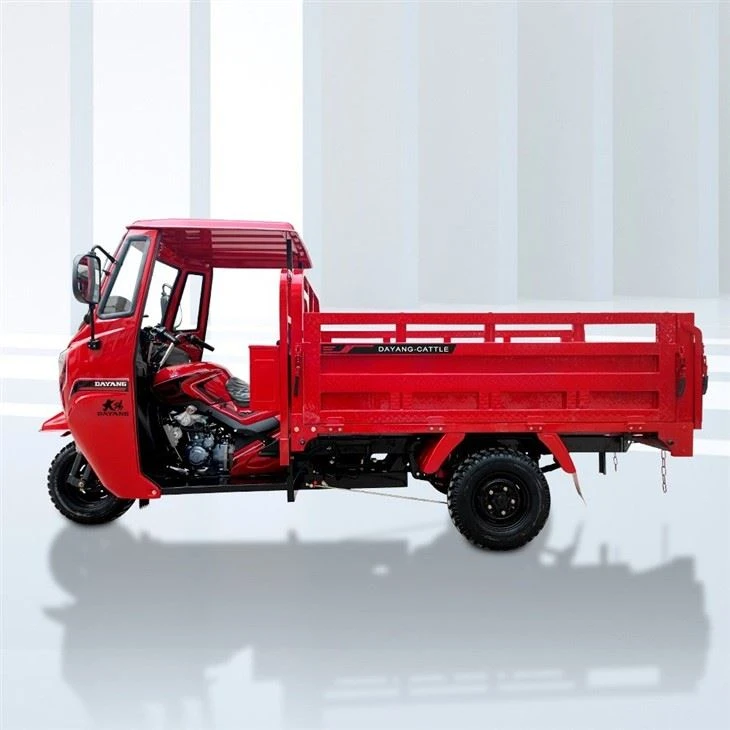 300cc Motorizado Tricar