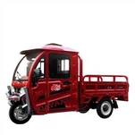 Cargo Motore Tricar