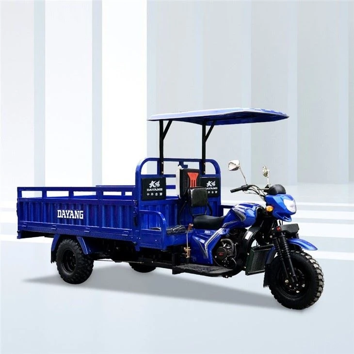 350cc Three-wheel Cargo Trike Motorcycle