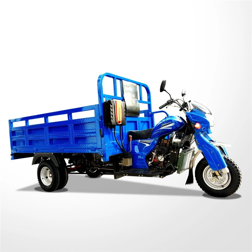 Adults Gasoline Tricycle With Roof