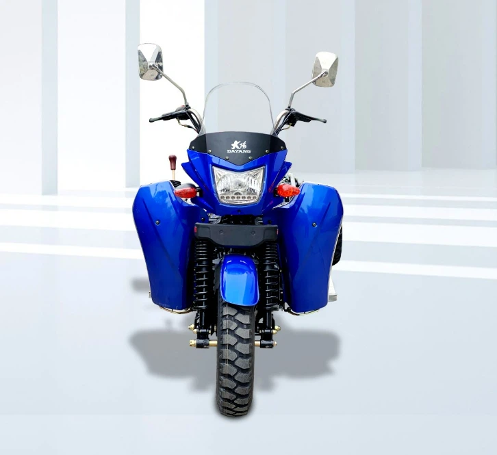 DAYANG New 300cc Petrol Three Wheels Cargo Tricycle