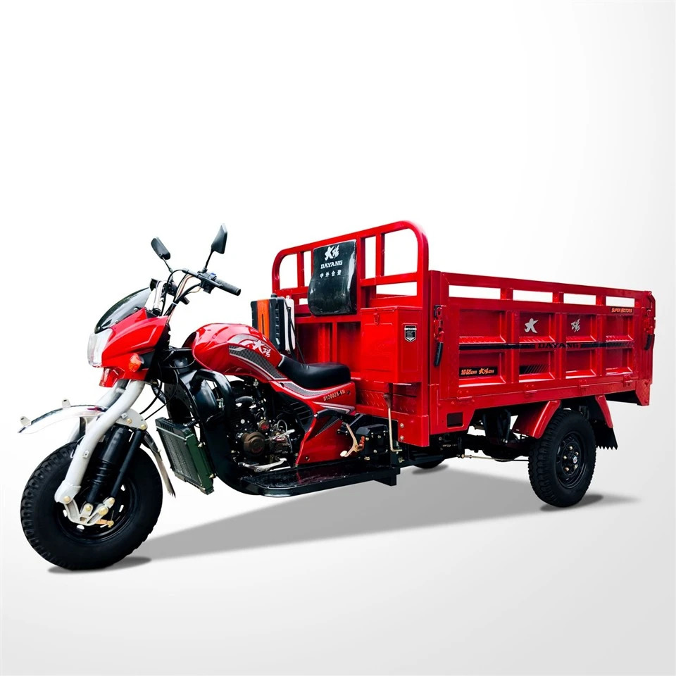 Heavy-Duty Hauling Tricycle