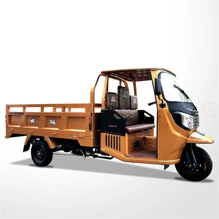 Petrol Rickshaw Loader