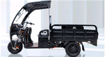 Nouveau tricycle électrique noir de Dayang