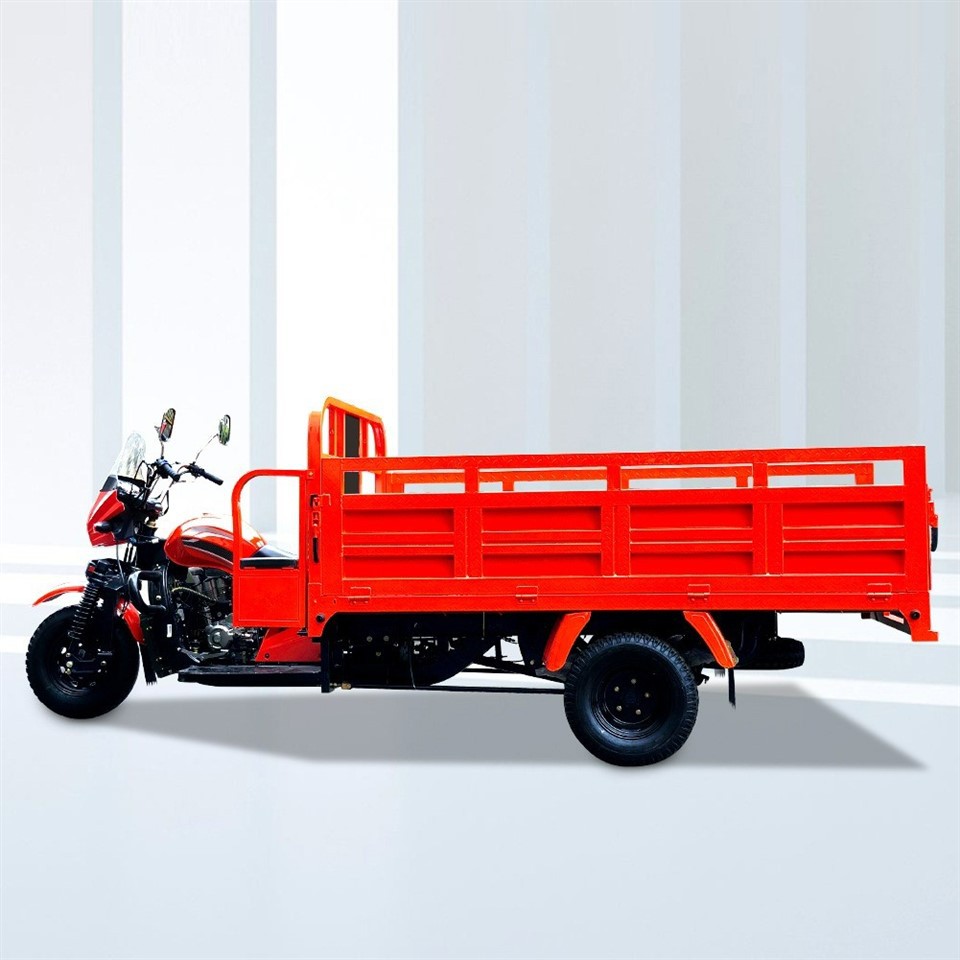 Versatile Cargo Tricycle For Agricultural Use